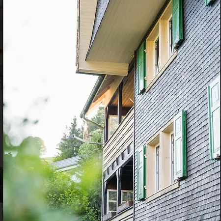 Vista Todtnauberg 1 Apartment Todtnau