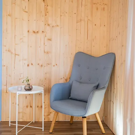 Vista Todtnauberg 1 Apartment