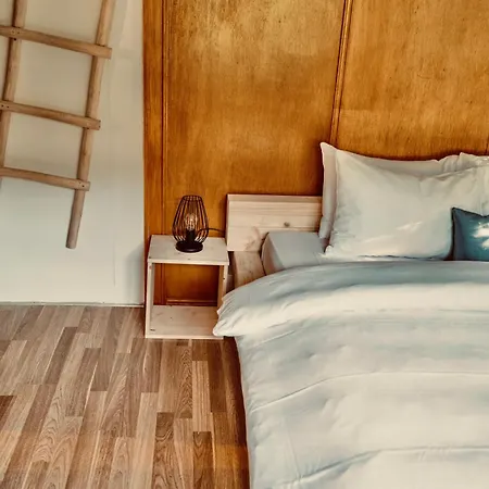 Vista Todtnauberg 1 Apartment Todtnau