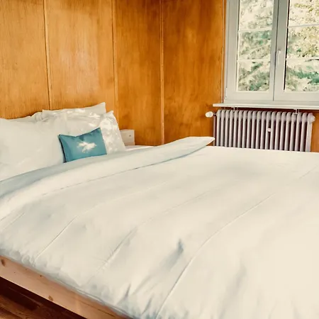 Vista Todtnauberg 1 * Todtnau